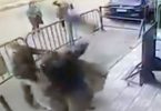 أمين شرطة ينقذ طفل