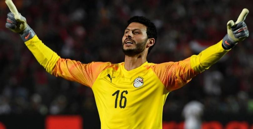 محمد الشناوي