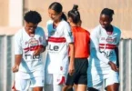 الدوري المصري الممتاز - تفاصيل الخبر