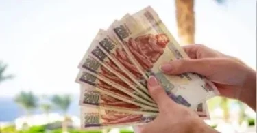 شهادات البنك الاهلي