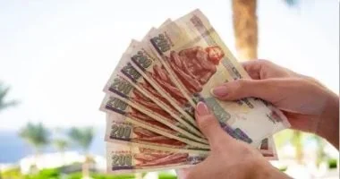 شهادات البنك الاهلي