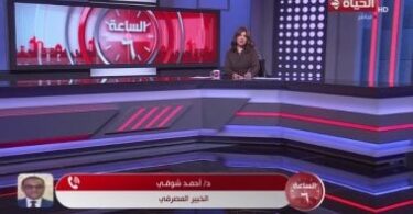 المركزي المصري