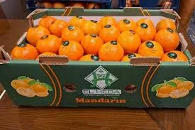 food africa - ترندات مصر