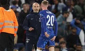 تشيلسي ضد إيفرتون