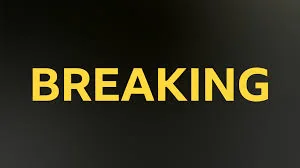 liverpool vs brighton