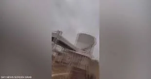 هجليج - ترندات مصر