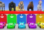 Long Slide Game with Cow Elephant Gorilla Hippopotamus Tiger 3d Animal Game Funny 3d Animals - ترندات مصر