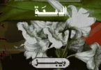 ويجز الدمعة - تفاصيل الخبر