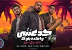 جدعنتي واخدة - تفاصيل الخبر