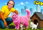 قراند جاتا شريت قطه - تفاصيل الخبر