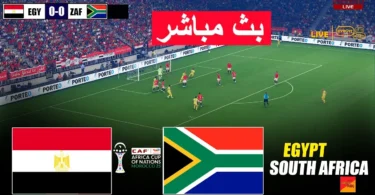 مباشر مصر جنوب أفريقيا - تفاصيل الخبر