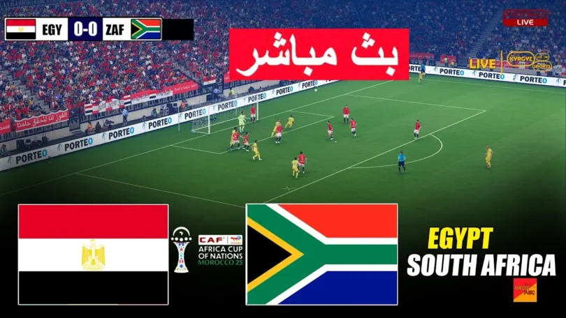 مباشر مصر جنوب أفريقيا - تفاصيل الخبر
