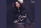 ليه ساكت - تفاصيل الخبر