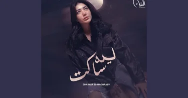 ليه ساكت - تفاصيل الخبر
