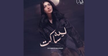 ليه ساكت - تفاصيل الخبر