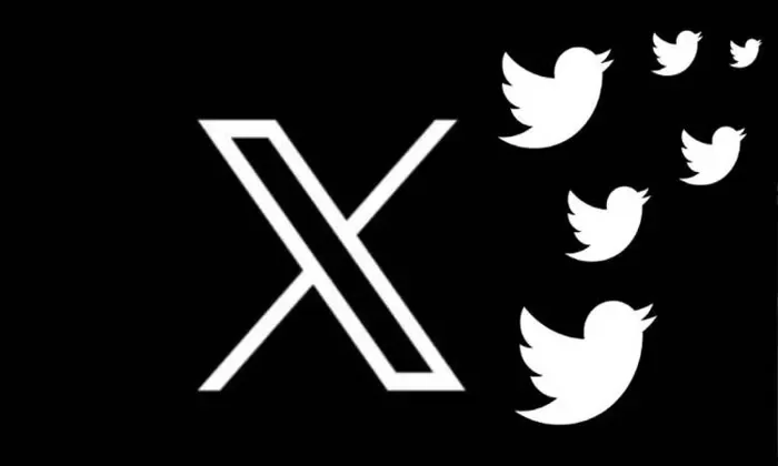 لا_اخوان_لا_برهان - ترندات مصر