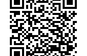 koshary - ترندات مصر