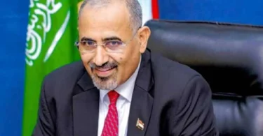الجزيرة - تفاصيل الخبر