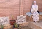 شمس البارودي - تفاصيل الخبر