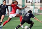 الدوري المصري - تفاصيل الخبر