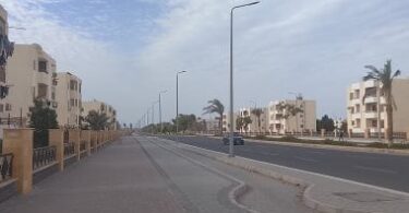 النهارده طوبه - تفاصيل الخبر