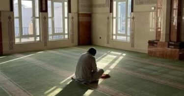 العصر اليوم - تفاصيل الخبر