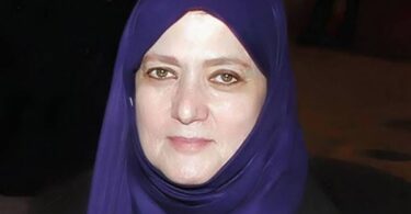 شمس البارودي - تفاصيل الخبر