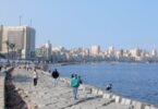 اليوم كام طوبه - تفاصيل الخبر