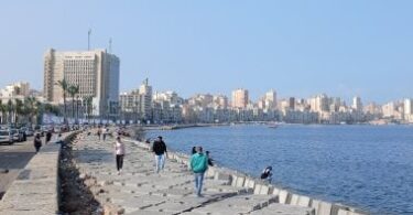 اليوم كام طوبه - تفاصيل الخبر