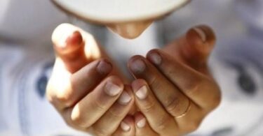 الفجر اليوم - تفاصيل الخبر