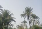 درجات الحراره - تفاصيل الخبر