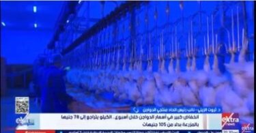 اسعار الدواجن اليوم - تفاصيل الخبر