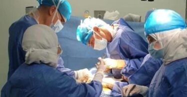 محافظة الدقهلية - تفاصيل الخبر