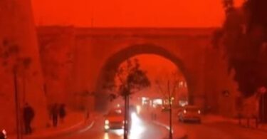 العاصفه الدمويه - تفاصيل الخبر