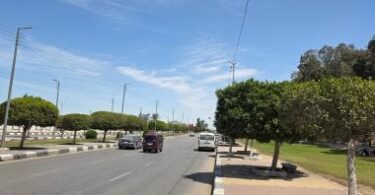 صيف - تفاصيل الخبر