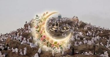 وزارة الحج والعمرة - تفاصيل الخبر