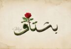 محمد سعيد بشتاق - تفاصيل الخبر