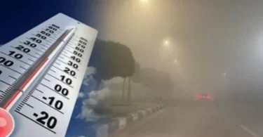 ظاهرة - تفاصيل الخبر