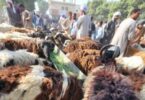 اجازة عيد الاضحى - تفاصيل الخبر