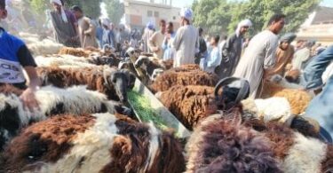 اجازة عيد الاضحى - تفاصيل الخبر