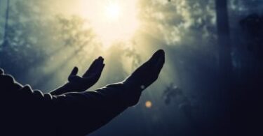 الفجر اليوم - تفاصيل الخبر