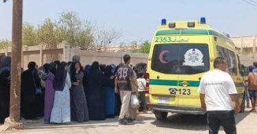 بولاق - تفاصيل الخبر