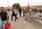 يوم العمال العالمي - تفاصيل الخبر