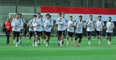 الاتحاد المصري - تفاصيل الخبر