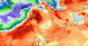 نينيو - تفاصيل الخبر