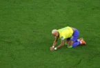مصر والبرازيل - تفاصيل الخبر
