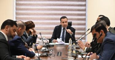 محمود محيي الدين - تفاصيل الخبر