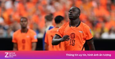 بريان بروبي - تفاصيل الخبر