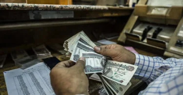 حماية اجتماعية - تفاصيل الخبر