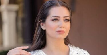 هبة مجدي - تفاصيل الخبر